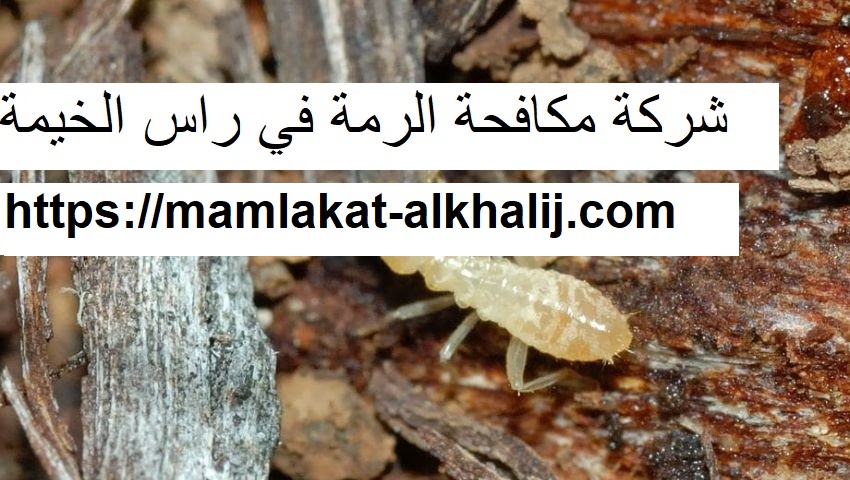 شركة مكافحة الرمة فى راس الخيمة شركة مكافحة الرمة فى راس الخيمة