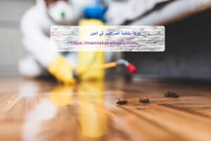 شركة مكافحة الصراصير في العين