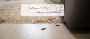 شركة مكافحة الصراصير في الفجيرة