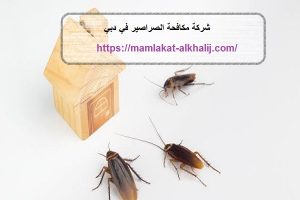 شركة مكافحة الصراصير في دبي